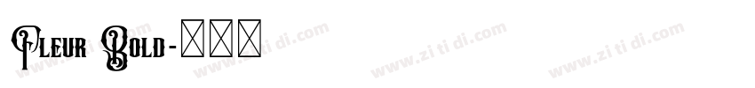 Fleur Bold字体转换